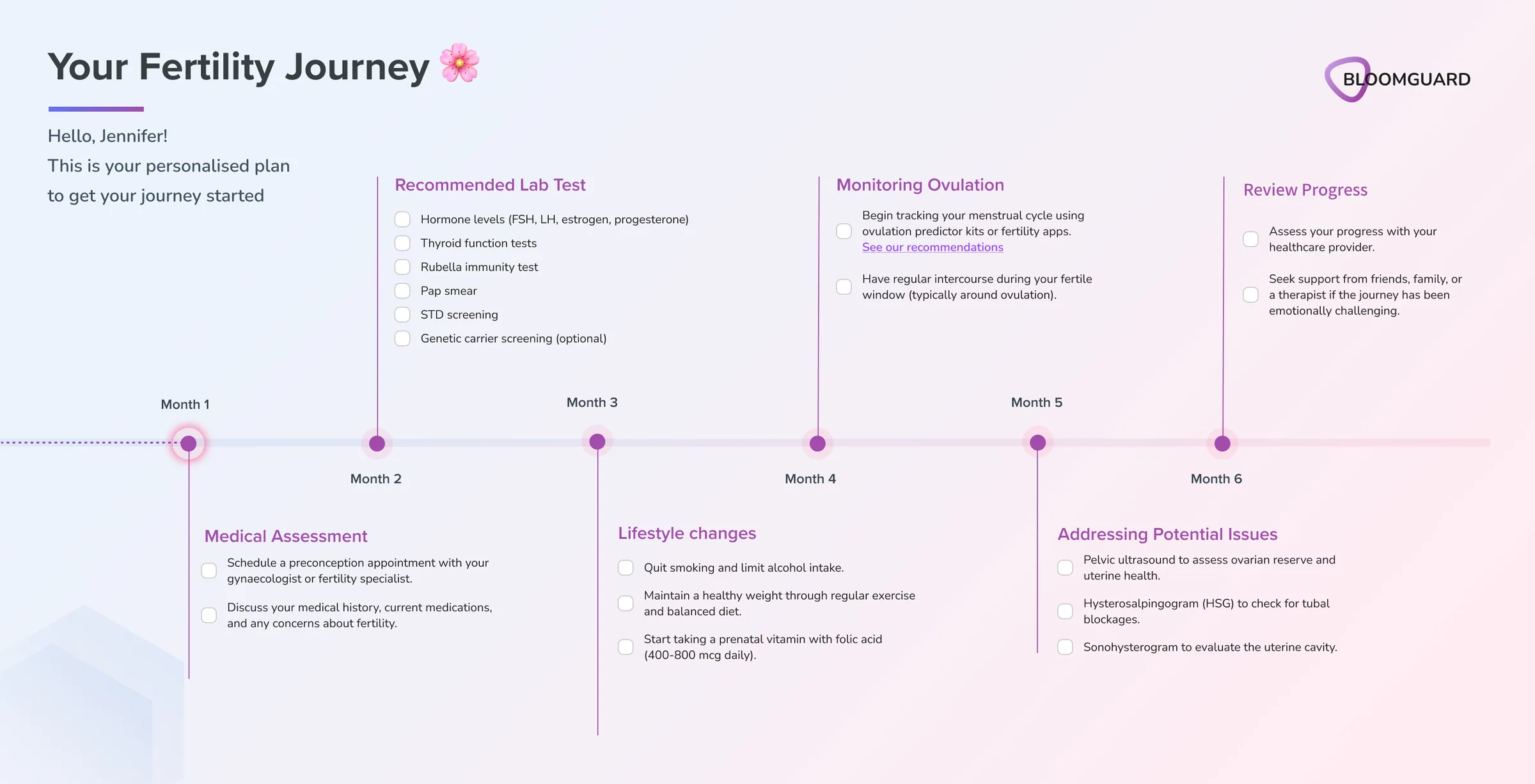 A personalised six-month fertility roadmap covering medical assessment, lab tests, lifestyle changes, ovulation monitoring and progress reviews